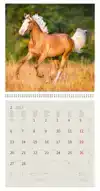 KALENDER 2027 30X30CM PAARDEN