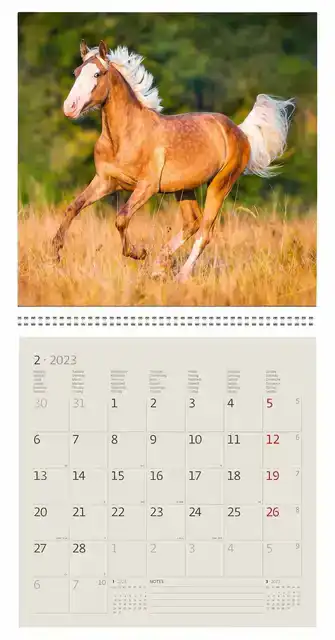 KALENDER 2027 30X30CM PAARDEN