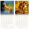 KALENDER 2027 30X30CM PAARDEN
