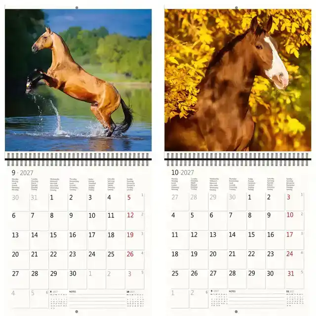 KALENDER 2027 30X30CM PAARDEN