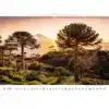 KALENDER 2027 31.5X45CM NATIONALE