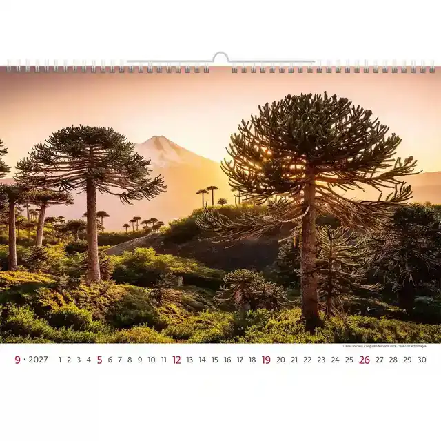 KALENDER 2027 31.5X45CM NATIONALE