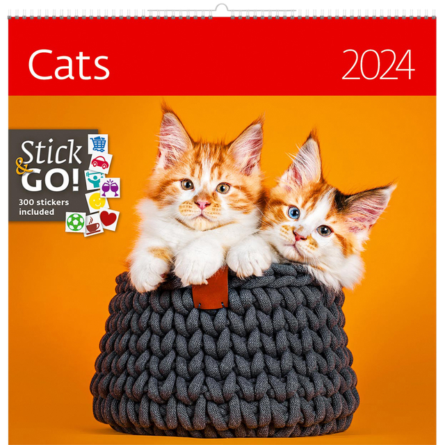 KALENDER 2025 30X30CM KATTEN