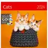 KALENDER 2026 30X30CM KATTEN