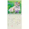 KALENDER 2026 30X30CM KATTEN