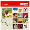 KALENDER 2027 30X30CM KATTEN