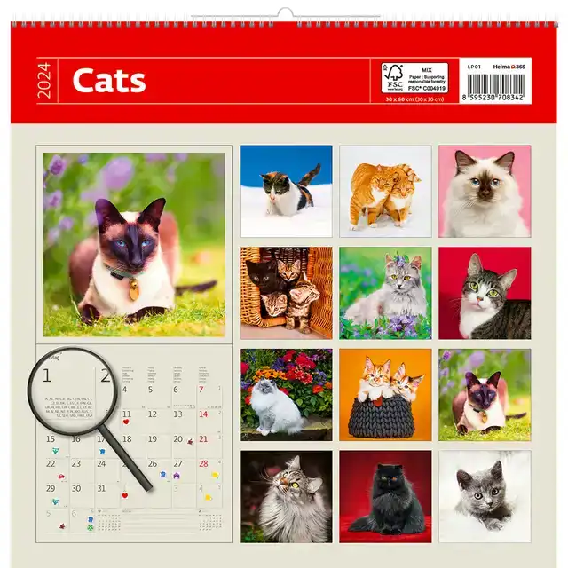 KALENDER 2027 30X30CM KATTEN