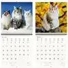 KALENDER 2027 30X30CM KATTEN