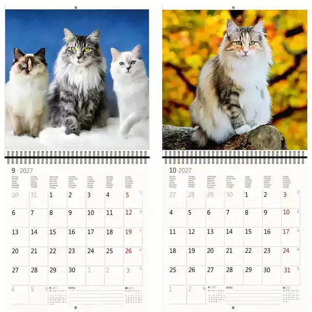 KALENDER 2027 30X30CM KATTEN