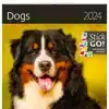 KALENDER 2026 30X30CM HONDEN