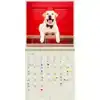 KALENDER 2026 30X30CM HONDEN