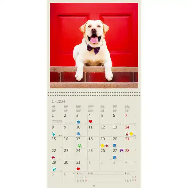 KALENDER 2026 30X30CM HONDEN