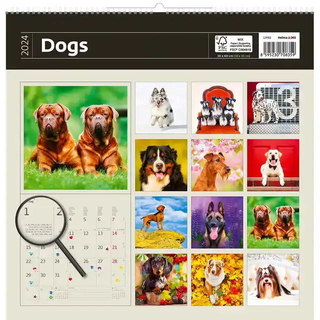 KALENDER 2027 30X30CM HONDEN