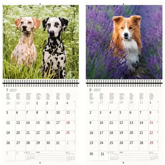 KALENDER 2027 30X30CM HONDEN