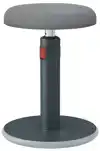 ACTIEVE ZIT-STA KRUK LEITZ ERGO COSY