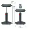 ACTIEVE ZIT-STA KRUK LEITZ ERGO COSY