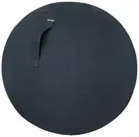 ACTIEVE ZITBAL LEITZ ERGO COSY GRIJS