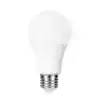 LEDLAMP INTEGRAL E27 5000K KOEL WIT