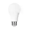 LEDLAMP INTEGRAL E27 2700K WARM WIT