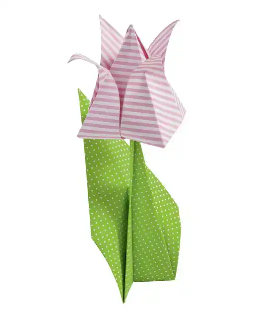 VOUWBLAADJES FOLIA 80GR 20X20CM 50V 2Z