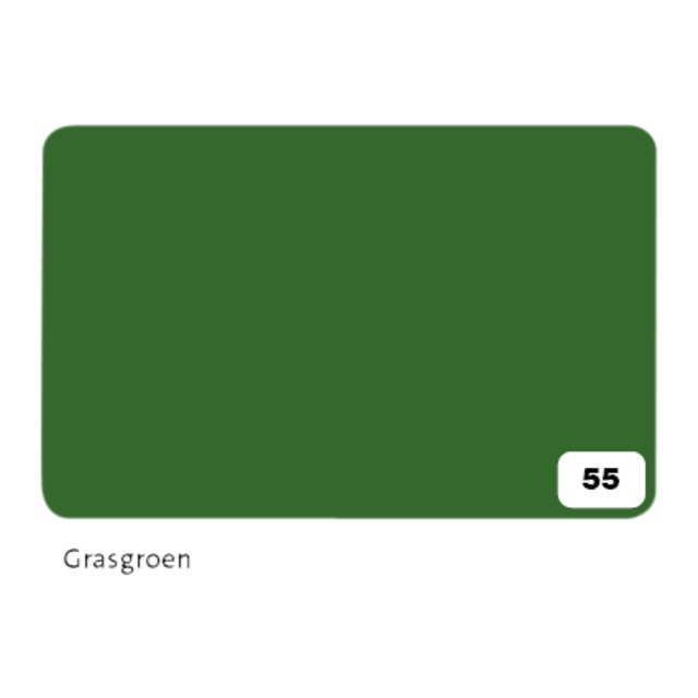 FOTOKARTON FOLIA 2Z 50X70CM 300GR NR55