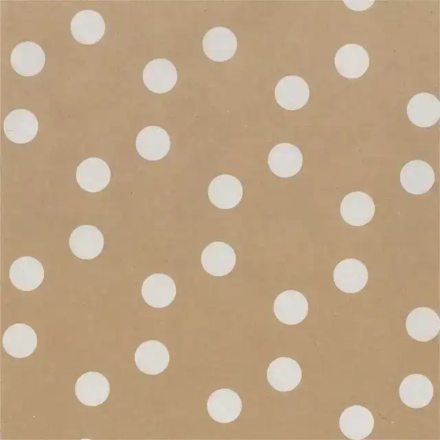 CADEAUZAK SPECIAL WRAP 12X19CM KRAFT ZW