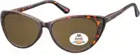 ZONNEBRIL MONTANA MET BRUIN POLAR GLAS