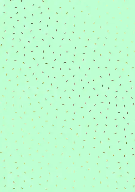 CONSUMENTROLLEN FRESH PATTERNS 60