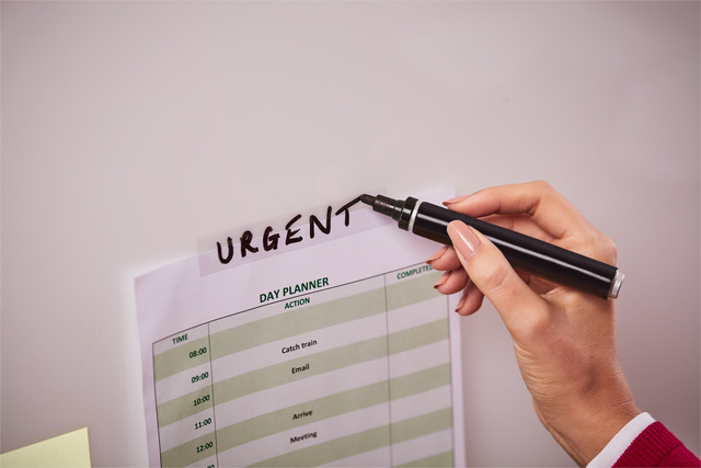 PLAKBAND SCOTCH MAGIC 19MMX33M + HOUDER