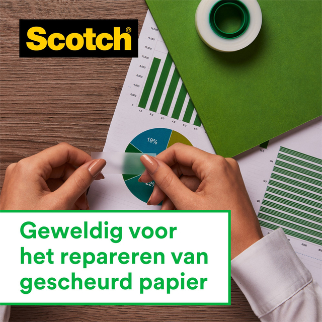 PLAKBAND SCOTCH MAGIC 810 19MMX10M