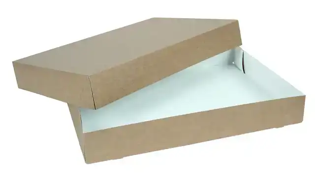 CATERINGDOOS IEZZY 55CM PLASTICVRIJ