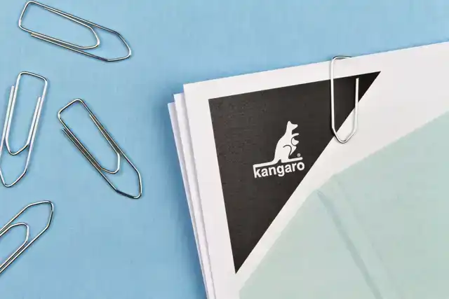 PAPERCLIP KANGARO 32MM HOEKIG VERZINKT