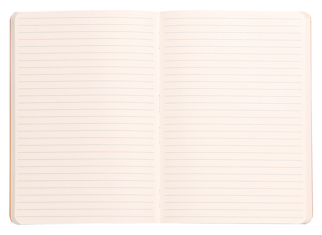 NOTITIEBOEK RHODIA A5 LIJN 80 VEL 90GR