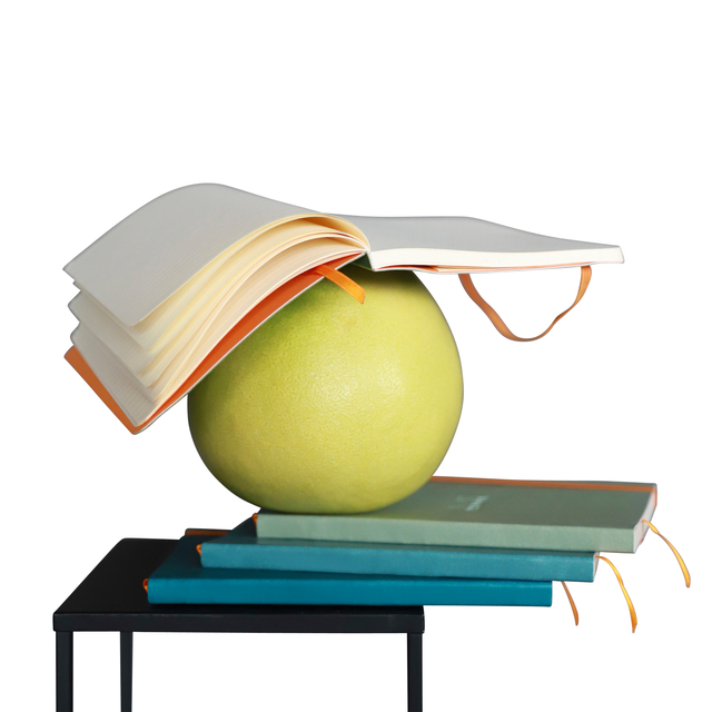 NOTITIEBOEK RHODIA A5 LIJN 80 VEL 90GR