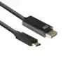 KABEL ACT USB-C NAAR DISPLAYPORT 60HZ 2