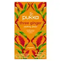 THEE PUKKA GINGER 20 ZAKJES