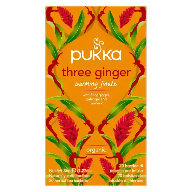 THEE PUKKA GINGER 20 ZAKJES