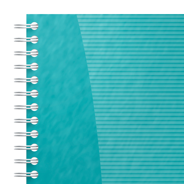TASK MANAGER OXFORD 141X246 MM 115VEL