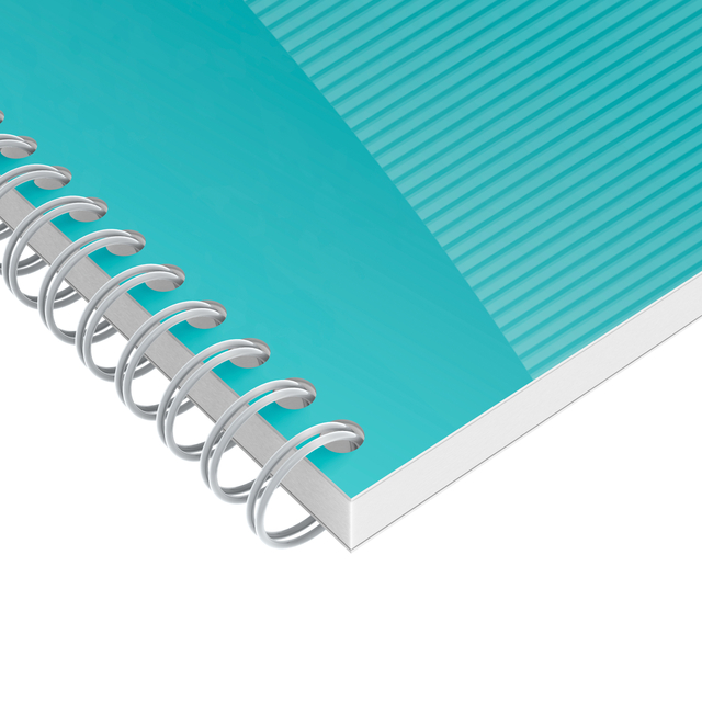 TASK MANAGER OXFORD 141X246 MM 115VEL