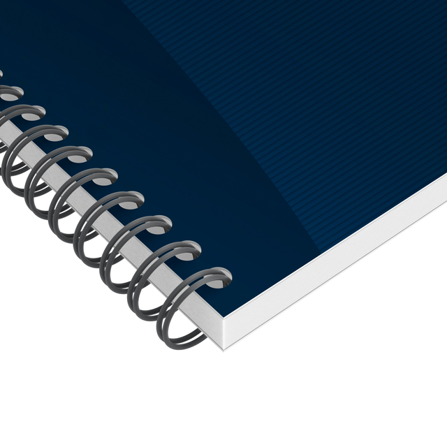 TASK MANAGER OXFORD 141X246MM 115VEL