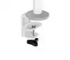 MONITORARM NEOMOUNTS DS60-425WH2 WIT