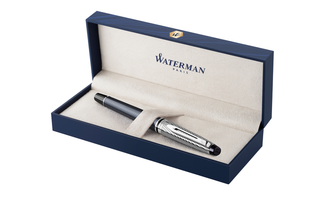 VULPEN WATERMAN EXPERT METALLIC CT F