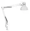 BUREAULAMP MAUL STUDY TAFELKLEM