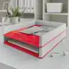 BRIEVENBAK LEITZ WOW A4 WIT/ROOD