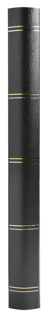 POSTZEGELALBUM EXACOMPTA 22.5X30.5CM 48