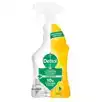 DESINFECTIEREINIGER DETTOL CITRUS SPRAY