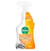 ONTVETTER DETTOL KEUKEN SPRAY 500ML