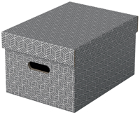 OPBERGDOOS ESSELTE 265X205X365MM GRIJS