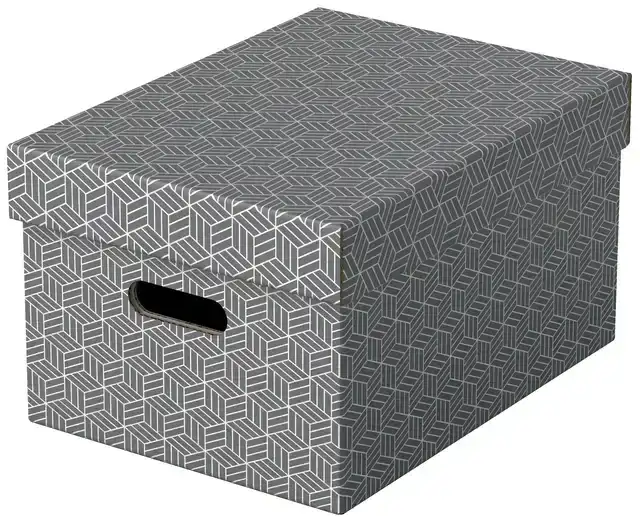 OPBERGDOOS ESSELTE 265X205X365MM GRIJS