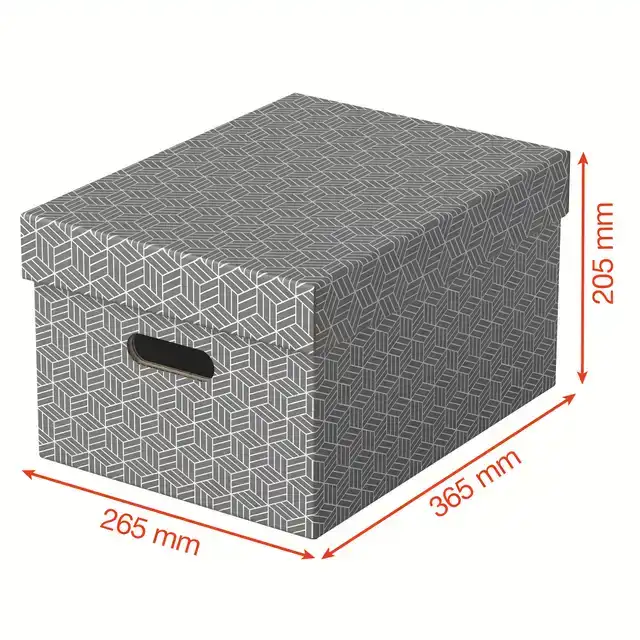 OPBERGDOOS ESSELTE 265X205X365MM GRIJS